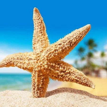 Sea Star Apartments Odessa Luaran gambar